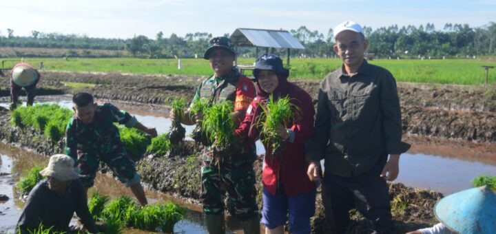 Dandim 1014/Pbn Letkol Inf Makin S.Sos., M.I.P. bersama Kabid PSP Ibu Noreti, Kabid Tanaman Pangan Bapak H. Iskandar