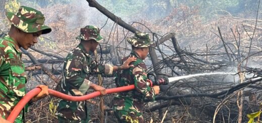 Kolaborasi TNI-Polri dan BPBD untuk Atasi Kebakaran Lahan di Tana Tidung