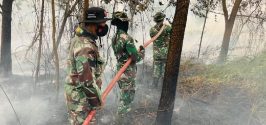 Tim Siaga Kodim 1015/Sampit Berhasil Atasi Kebakaran Hutan di Pemukiman