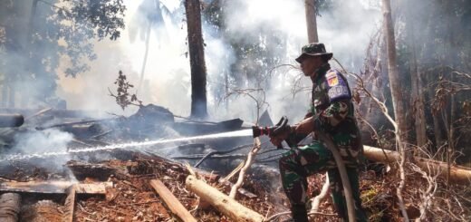 Kolaborasi Tim Damkar dan Warga Atasi Kebakaran Lahan di Warembungan