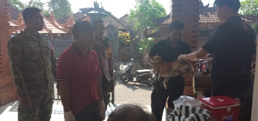 Upaya Cegah Rabies: 218 Hewan di Tista Terima Vaksin dengan Dukungan Babinsa