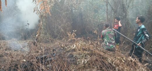 Kolaborasi Kodim 1016/Plk dan BPBD Atasi Kebakaran Hutan di Kalteng
