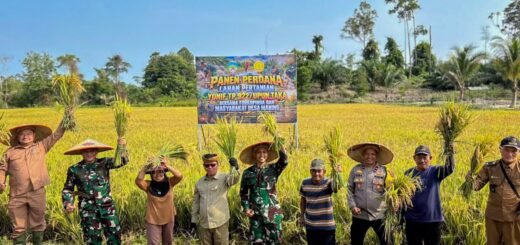 Kolaborasi TNI dan Pemda Tana Tidung dalam Penguatan Swasembada Pangan