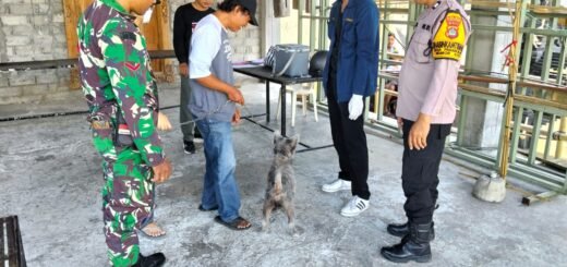 Babinsa Turut Andil dalam Vaksin Rabies untuk Kesehatan Hewan dan Masyarakat
