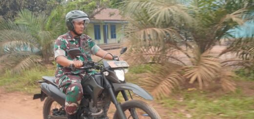 Dandim 1015/Sampit Tinjau Langsung Area Kebakaran di Mentaya Seberang