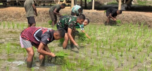 Prajurit YTP 859/RBK Resmi Mulai Program Pertanian Demi Ketahanan Pangan