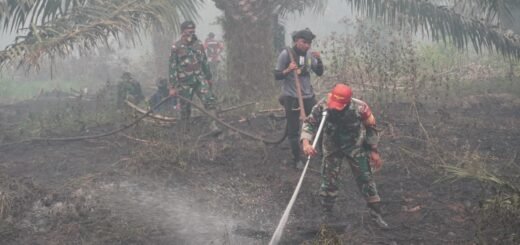 Aksi Dandim 1015/Sampit dalam Penanganan Kebakaran Hutan di Mentaya Seberang
