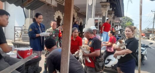 Kolaborasi TNI dan Dinas Peternakan Perangi Penyebaran Rabies di Meliling