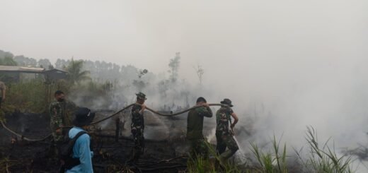 Kolaborasi Tim Peduli Lingkungan Atasi Kebakaran di Dadahup