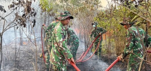 Brigif TP 32/Mangkalihat Beraksi Cepat Atasi Kebakaran Hutan di Kutai Timur