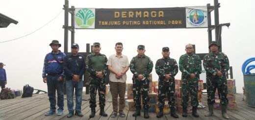 Upaya TNI dalam Penanggulangan Karhutla Tanjung Puting melalui Tinjauan Langsung