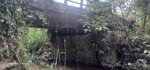 Pembangunan Jembatan Baru di Luwu Timur Tingkatkan Aksesibilitas Warga