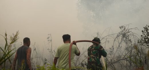 Sinergi Kodim 1015/Sampit dan Posko Karhutla Lawan Kebakaran Hutan di Kotim