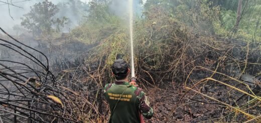 Tim Gabungan Padu Padamkan Kebakaran Hutan di Sei Kayu Kapuas