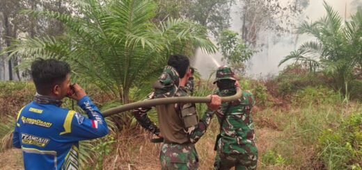 Tim Gabungan Terjun Langsung Kawal Pemadaman 35 Titik Api di Kapuas Murung