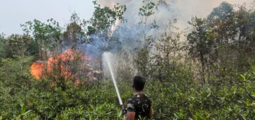 Keterlibatan Lintas Sektor Perangi Kebakaran Hutan di Gunung Mas