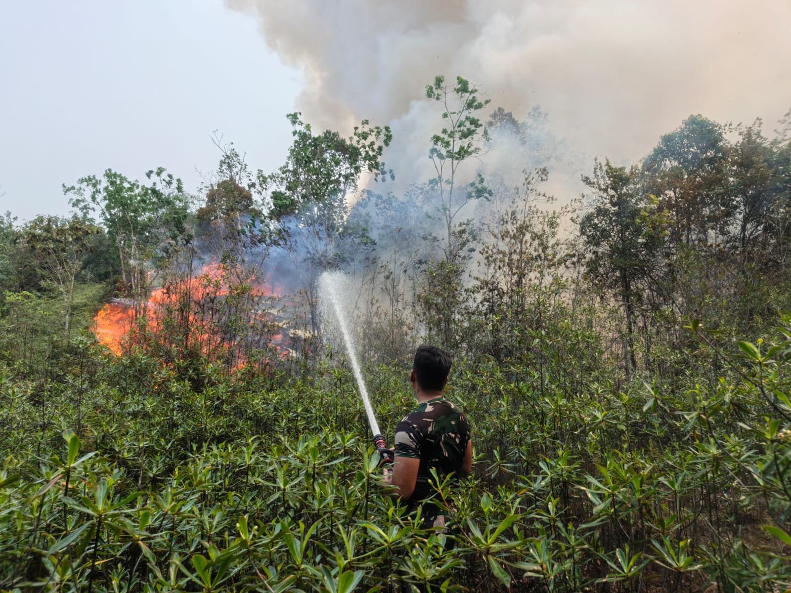 Keterlibatan Lintas Sektor Perangi Kebakaran Hutan di Gunung Mas