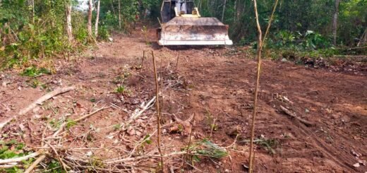 Pembangunan Jalan TMMD ke-130: Meningkatkan Konektivitas dan Ekonomi Desa Way Kanan