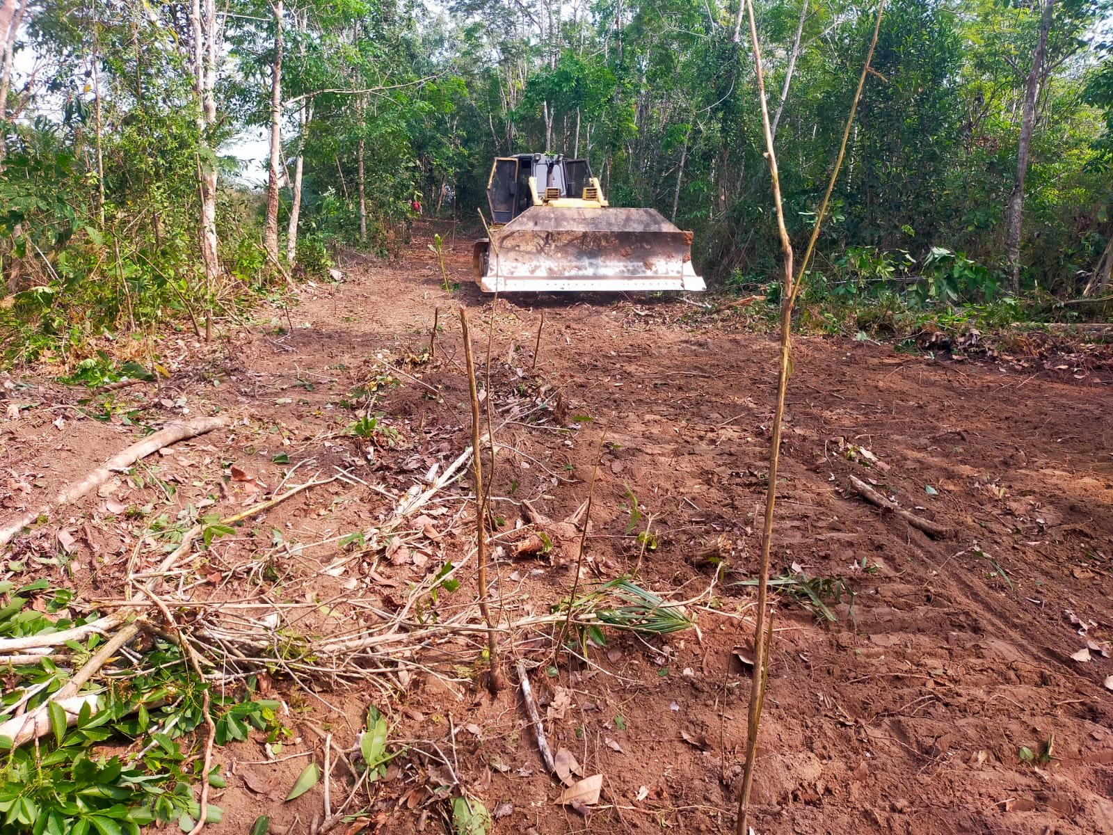 Pembangunan Jalan TMMD ke-130: Meningkatkan Konektivitas dan Ekonomi Desa Way Kanan
