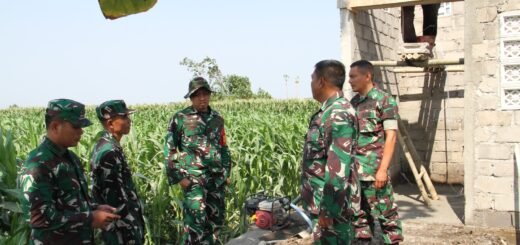 Inisiatif TMMD Kodim Tulungagung Ciptakan Irigasi untuk Cegah Kekeringan Petani